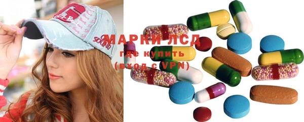 мяу мяу мука Аркадак