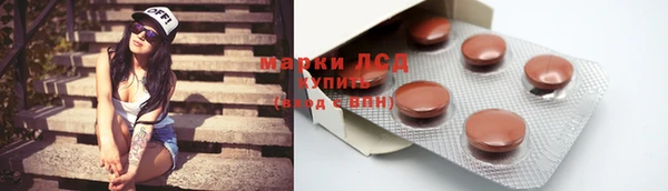 мяу мяу мука Аркадак